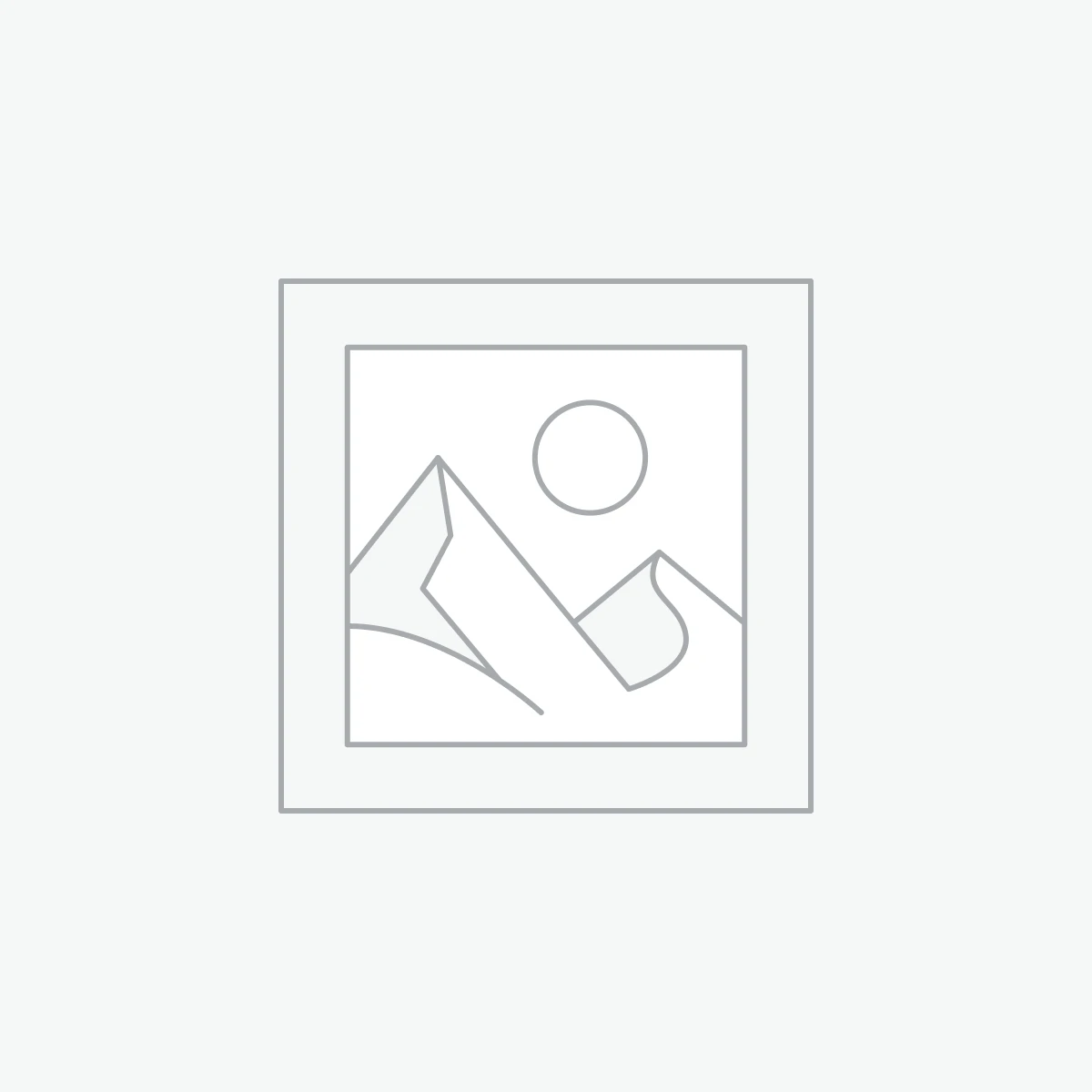 Radiador CARGO2422  -54